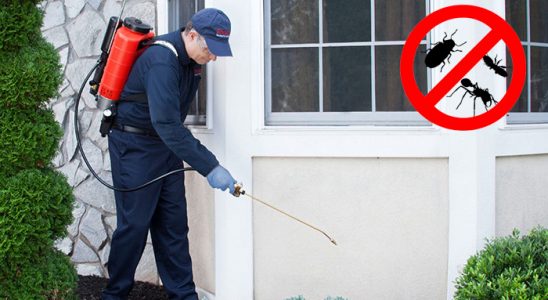 Yeşilhisar Bit İlaçlama böcek ilaçlama ve haşere kontrolü — ilaclama-tr.com